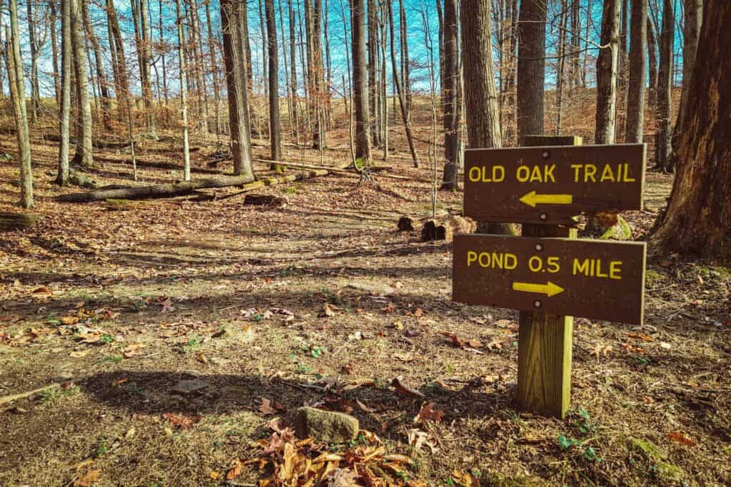 Old Oak Trail at the West Virginia Wildlife Center