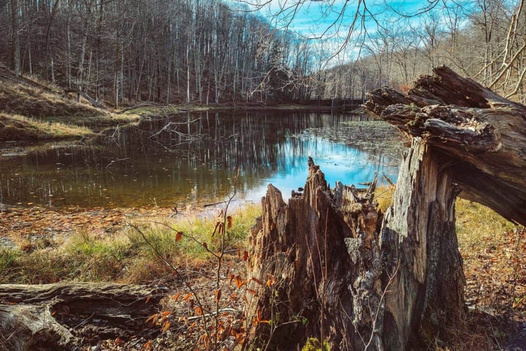 A fishing pond along the Old Oak Trail at the West Virginia Wildlife Center.