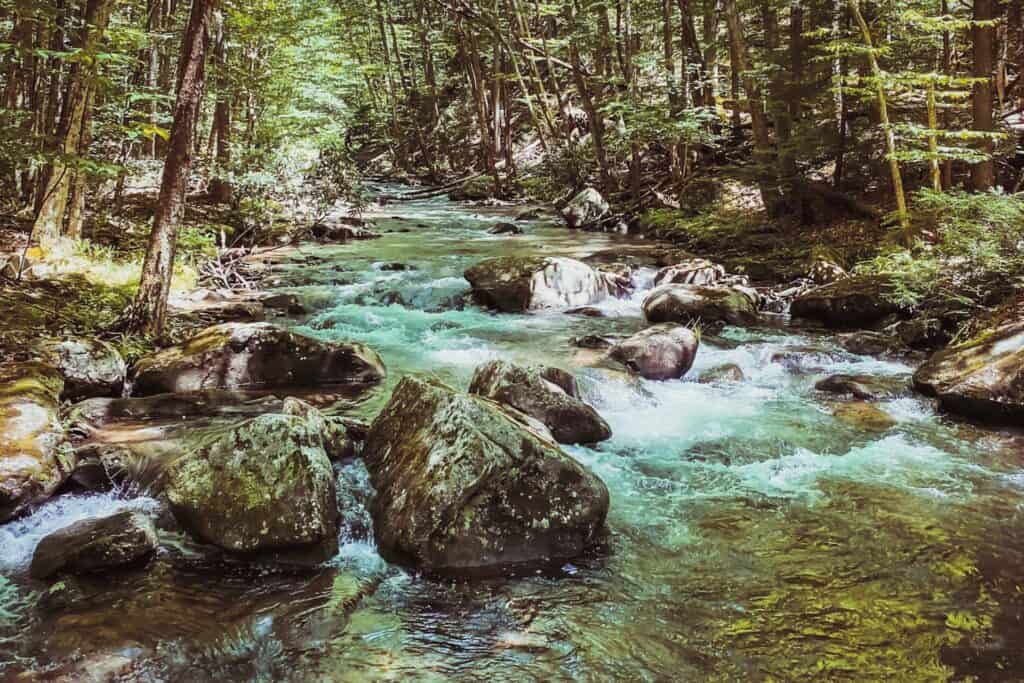 Holly River State Park