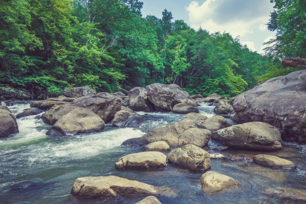The Buckhannon River near Tenmile